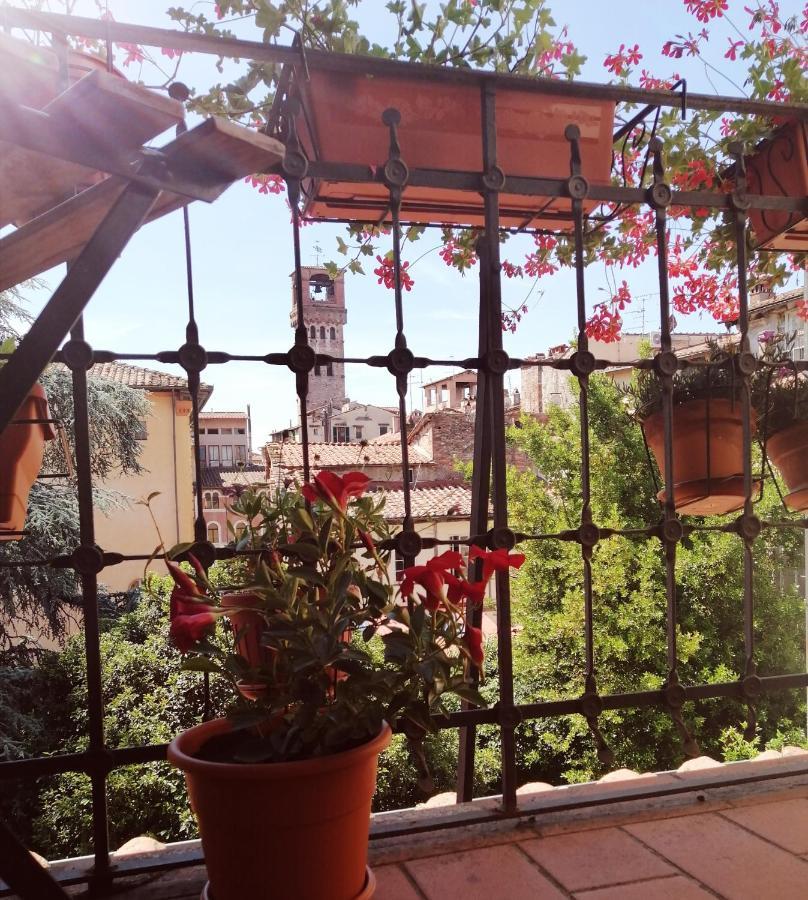 Bed And Breakfast Evelina 卢卡 外观 照片