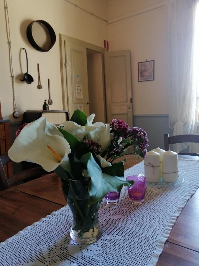 Bed And Breakfast Evelina 卢卡 外观 照片